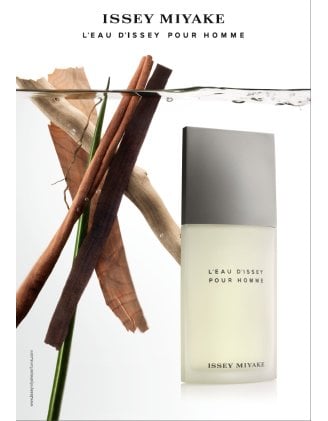 Issey Miyake L Eau D Issey Men Edt 125Ml